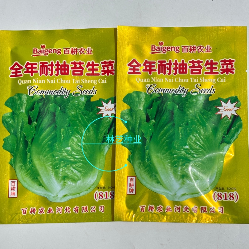 全年耐抽苔生菜种子菜型美观爽脆味美品质好农家四季播种蔬菜