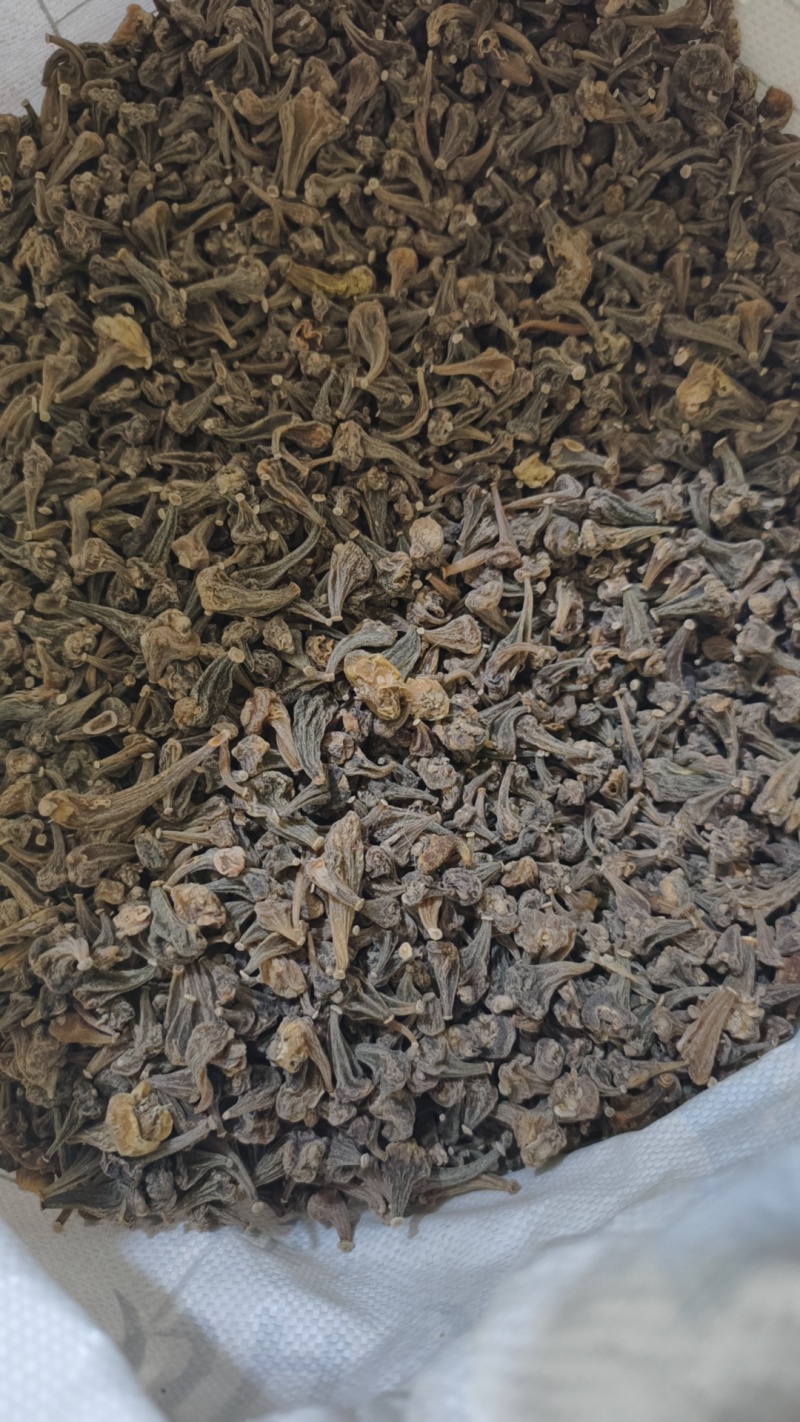 出售中药材干货冰球子