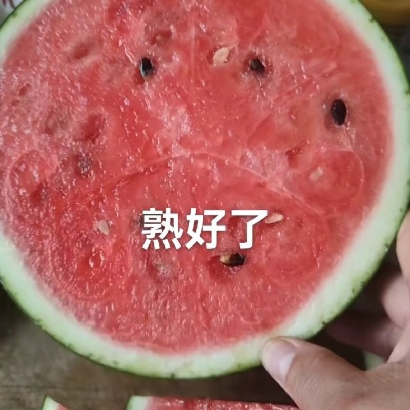 京欣西瓜开始上市