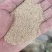 广西统糠，筛糠，畜牧养殖，饲料加工，现打现发，按需生产