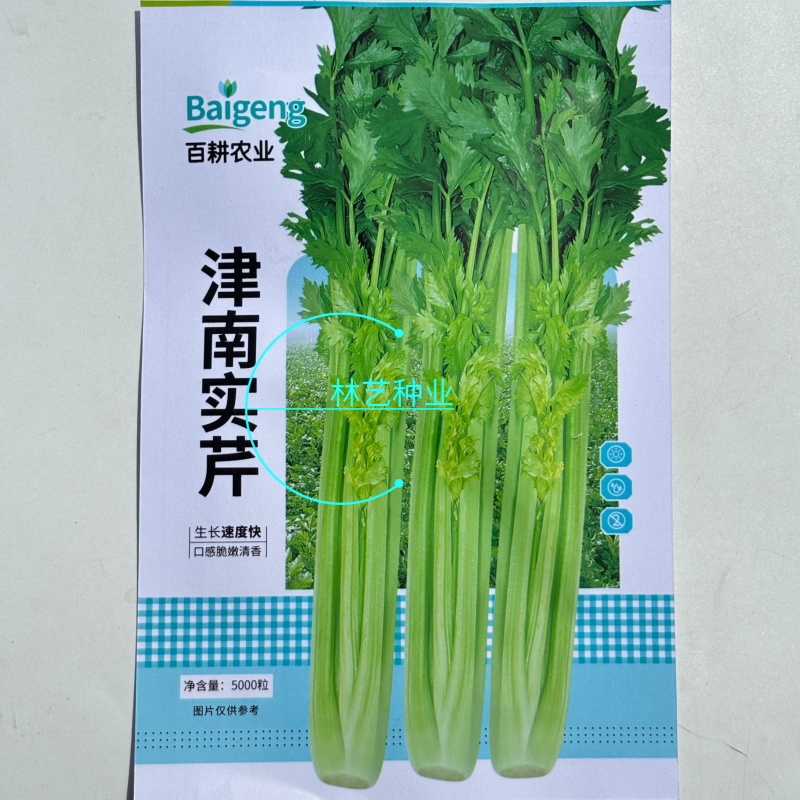 津南实芹芹菜种子优质高产耐寒抗寒农家春秋播种精选芹菜