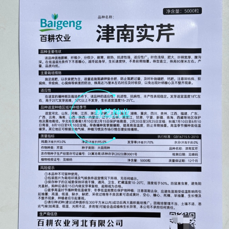 津南实芹芹菜种子优质高产耐寒抗寒农家春秋播种精选芹菜