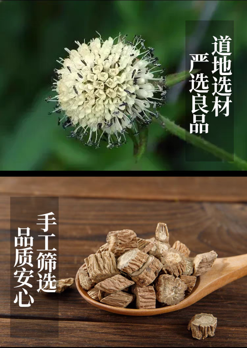 包邮）四川野生川断500g克优选当季正宗新货川续断搭配