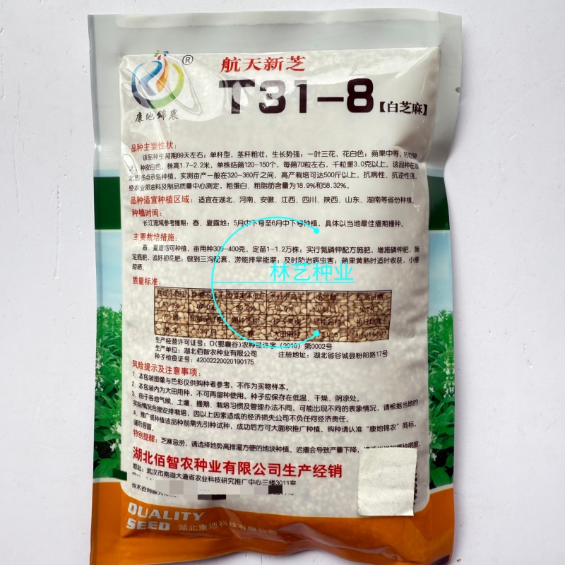 航天新芝31-8白芝麻种子杆粗果长粒大高产高油