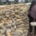 密本南瓜2000亩基地