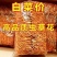 500克精品虫草花保汤好食材