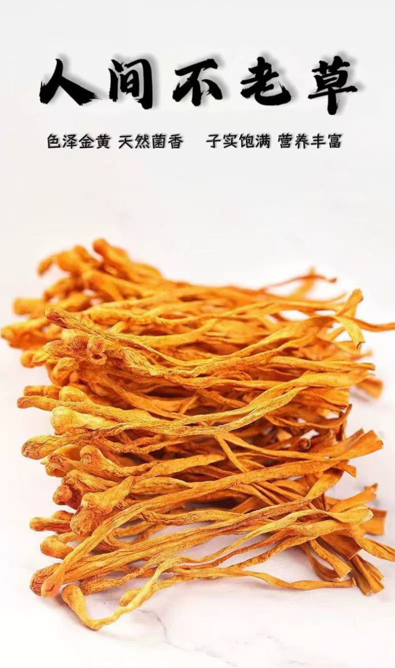 500克精品虫草花保汤好食材