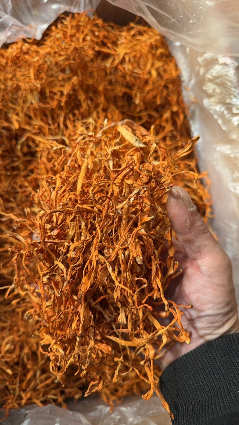 500克精品虫草花保汤好食材