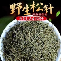 包邮）松针特级中药材500克g散装纯干全松茶食用马尾松针