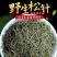 包邮）松针特级中药材500克g散装纯干全松茶食用马尾松针