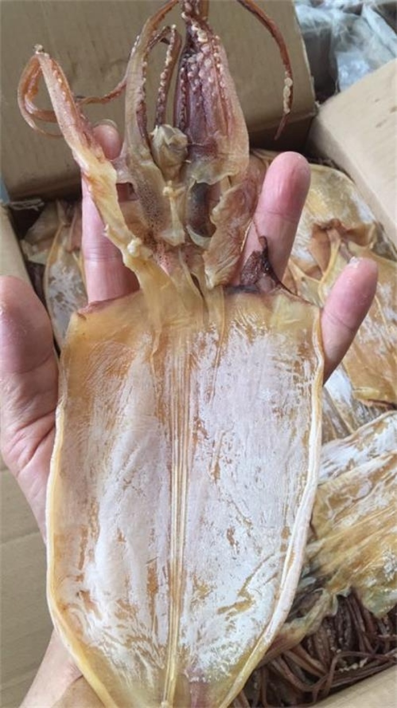 鱿鱼干盐干淡干产地直发适合农贸地摊电商大量批发