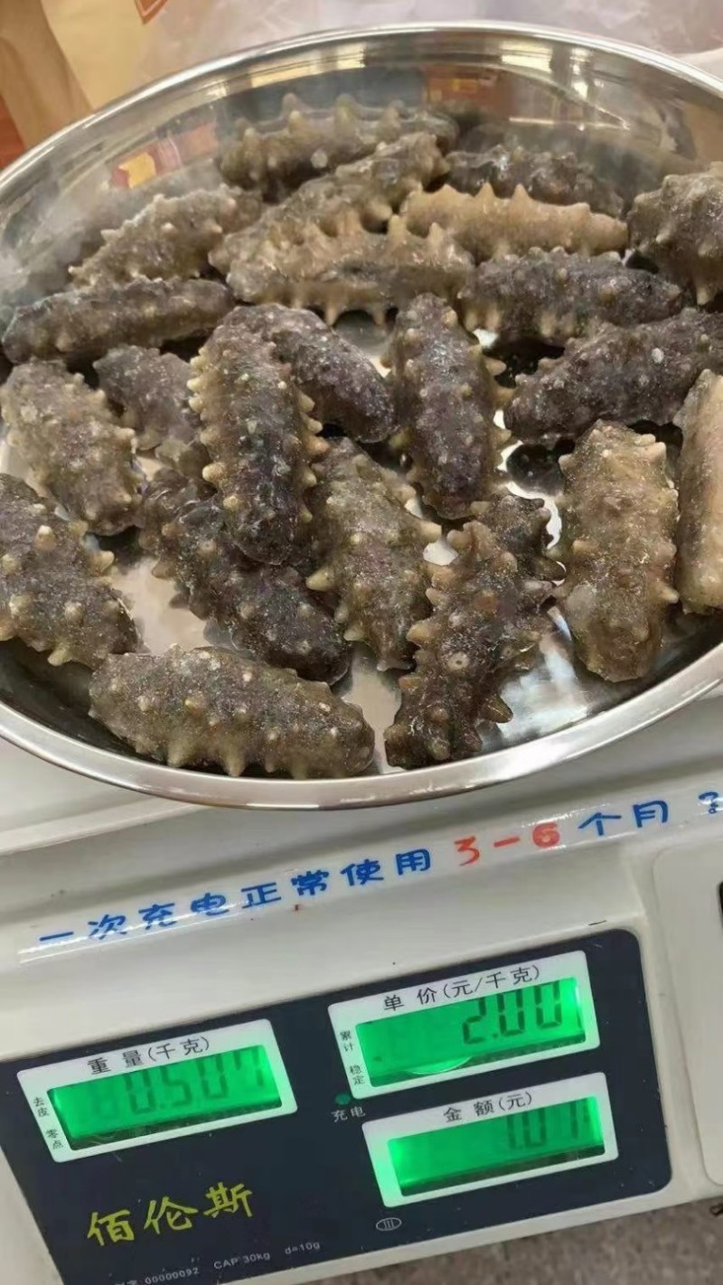 海参