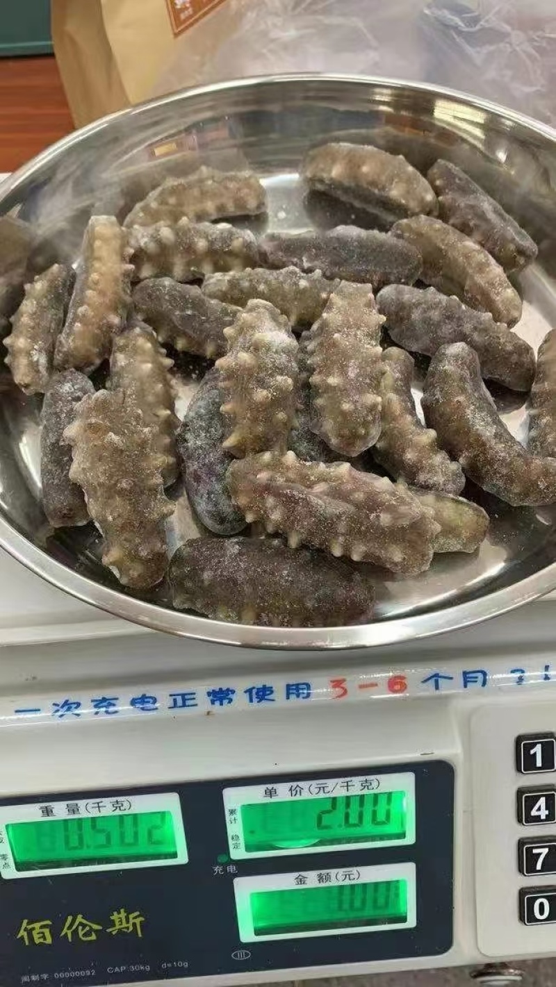 海参