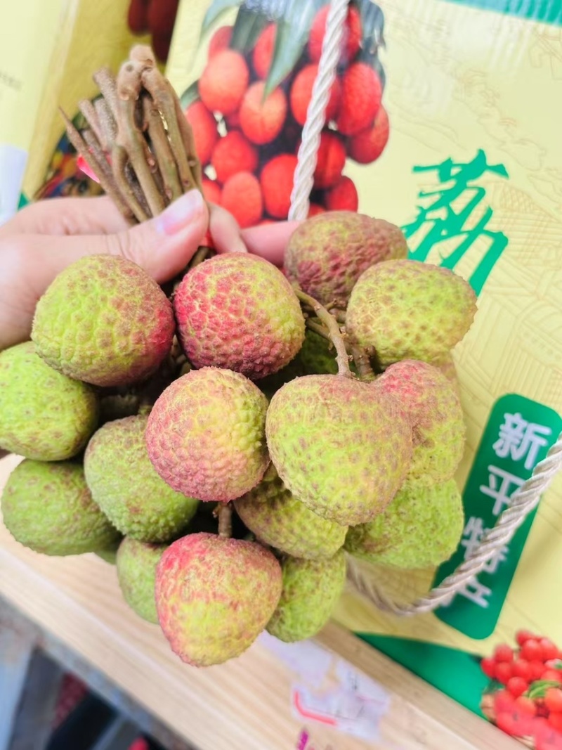 云南水东荔枝