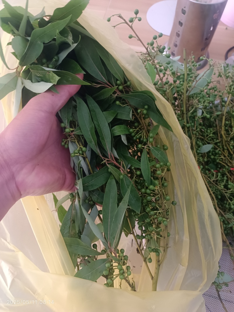 贵州高山野生木姜子