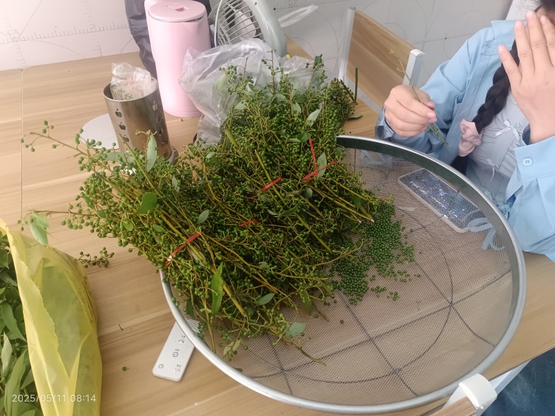 贵州高山野生木姜子