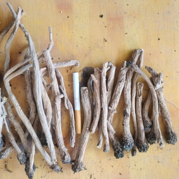 精品货干净精调细选货，粗细都已经分开，需要的老板速度联系