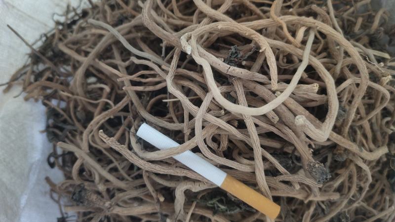 精品货干净精调细选货，粗细都已经分开，需要的老板速度联系