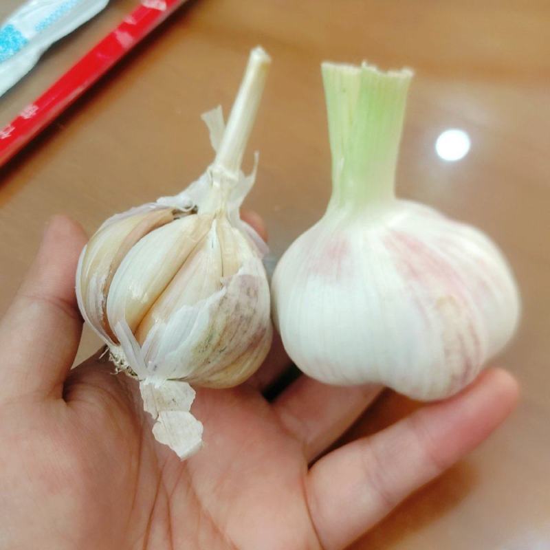 2025新蒜，鲜蒜