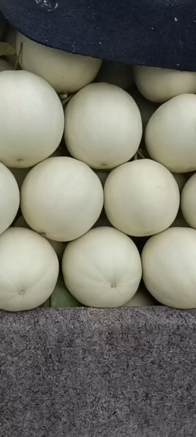 山东聊城莘县，冰淇淋，玉菇，甜瓜奶香蜜，红金蜜，梦露蜜露