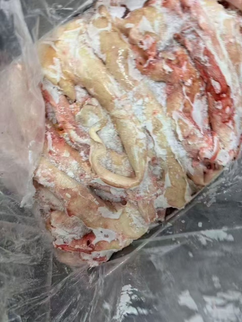 牛心管，牛屠宰厂，实力厂家，一手货源