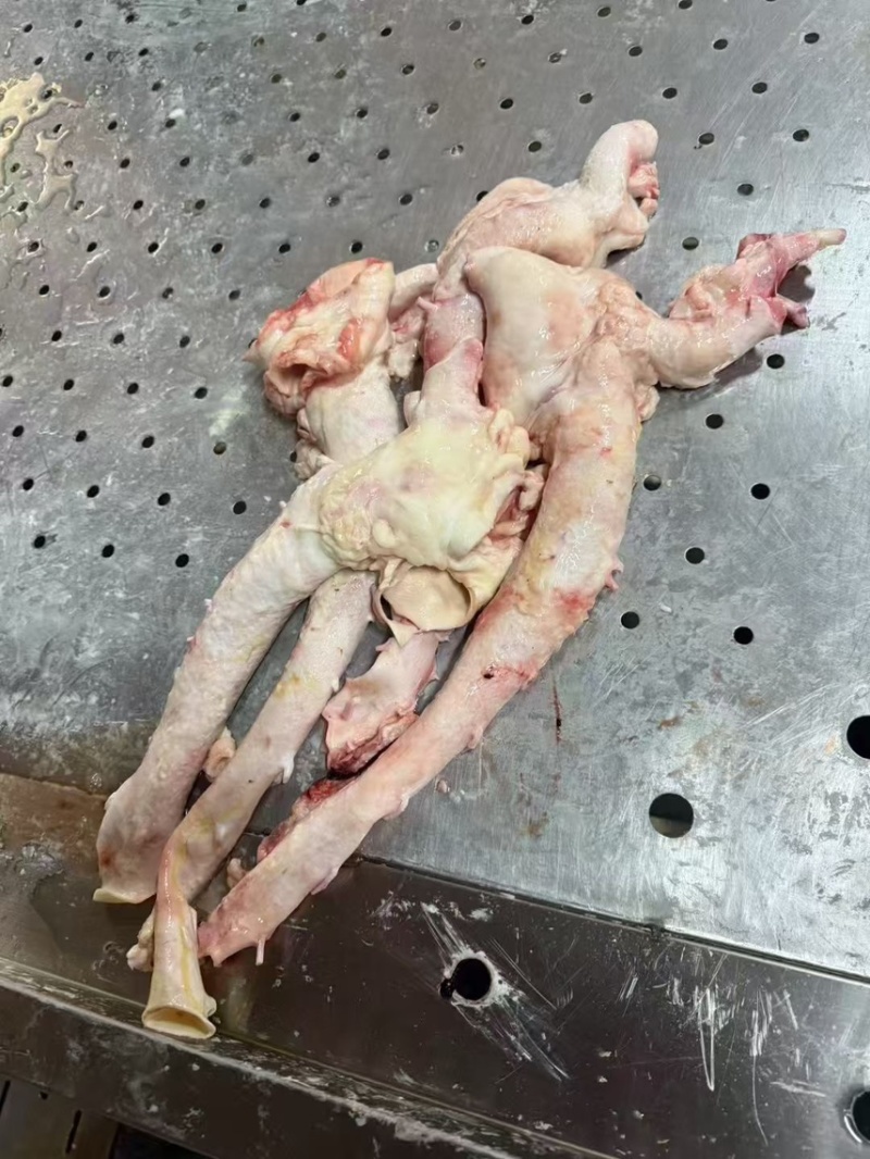牛心管，牛屠宰厂，实力厂家，一手货源