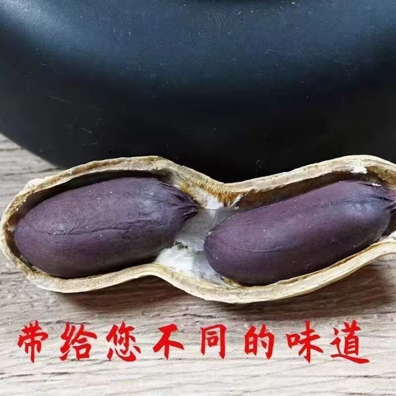 包邮）2025新货山东黑皮花生紫皮农家带壳晒干新鲜批发