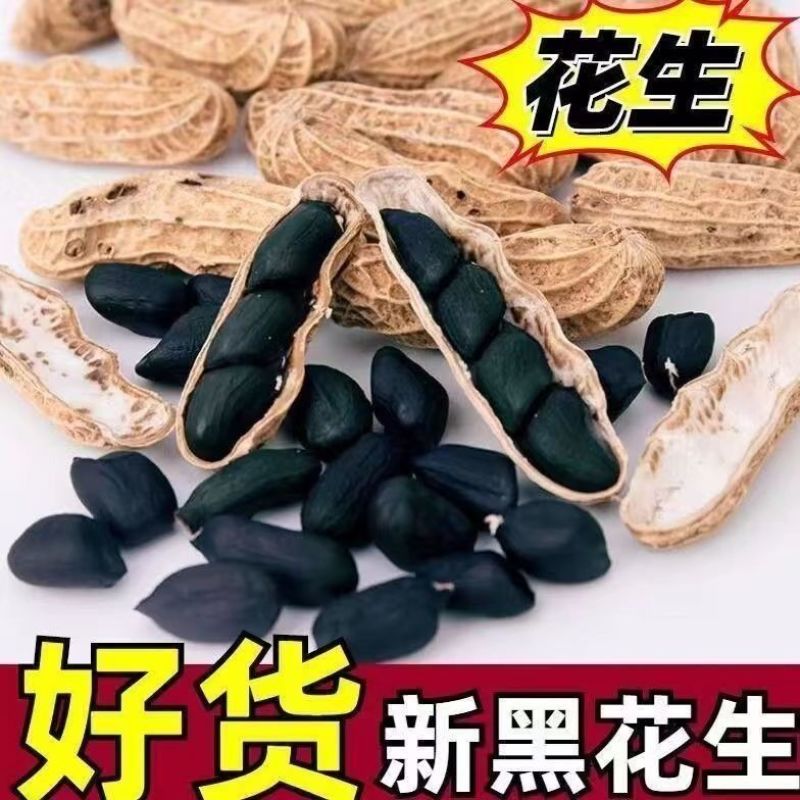包邮）2025新货山东黑皮花生紫皮农家带壳晒干新鲜批发