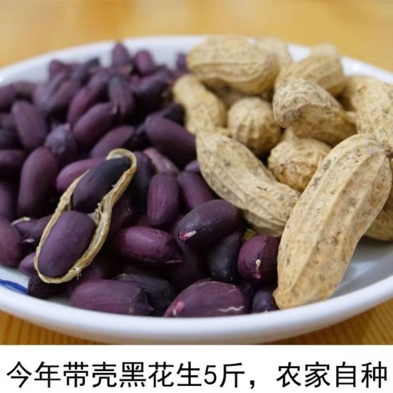 包邮）2025新货山东黑皮花生紫皮农家带壳晒干新鲜批发