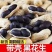 包邮）2025新货山东黑皮花生紫皮农家带壳晒干新鲜批发