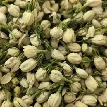 横县茉莉花苞干