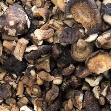 香菇脆碎，香菇干碎，电商专用香菇碎，干香菇
