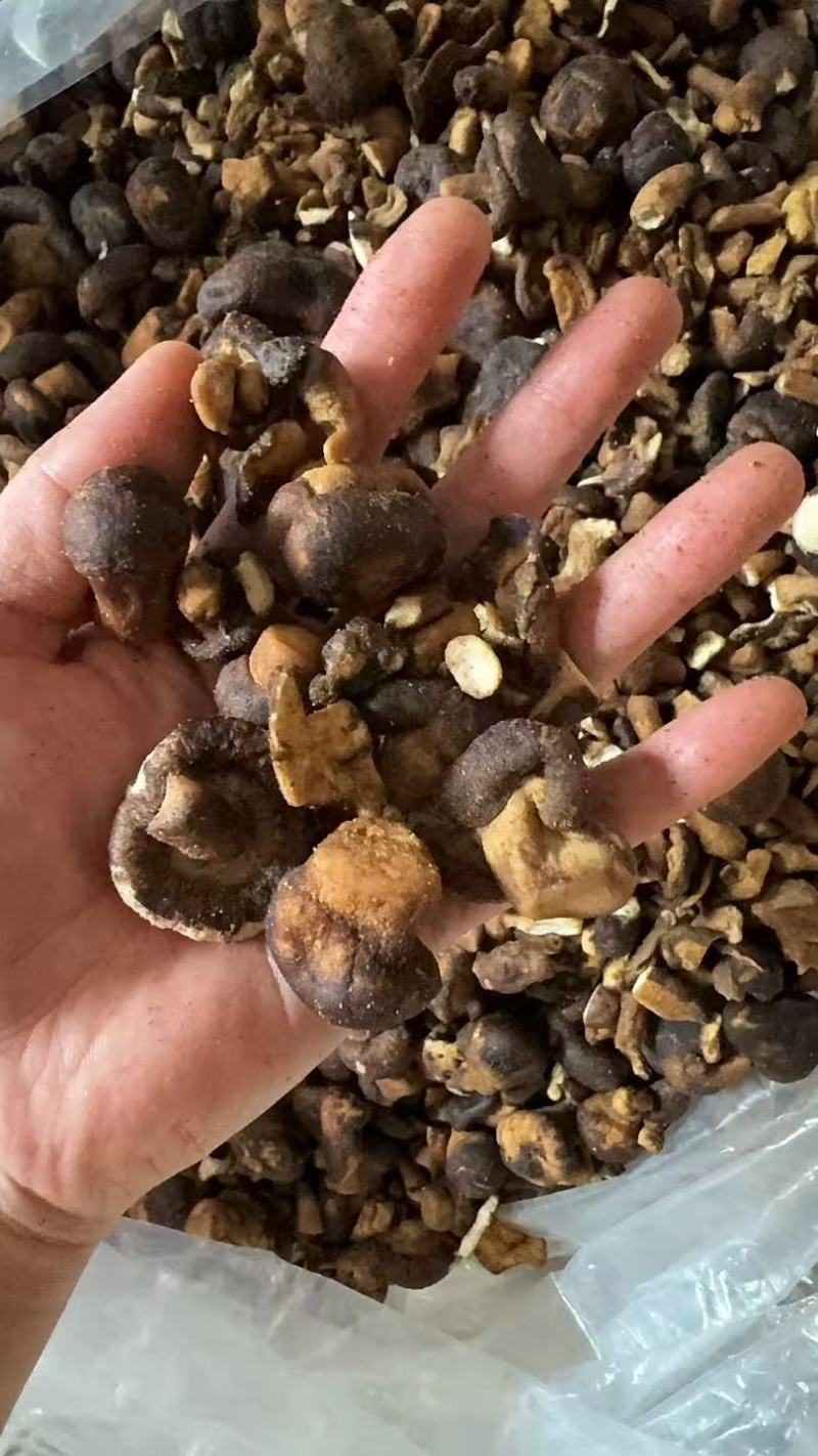 香菇脆碎，香菇干碎，电商专用香菇碎，干香菇