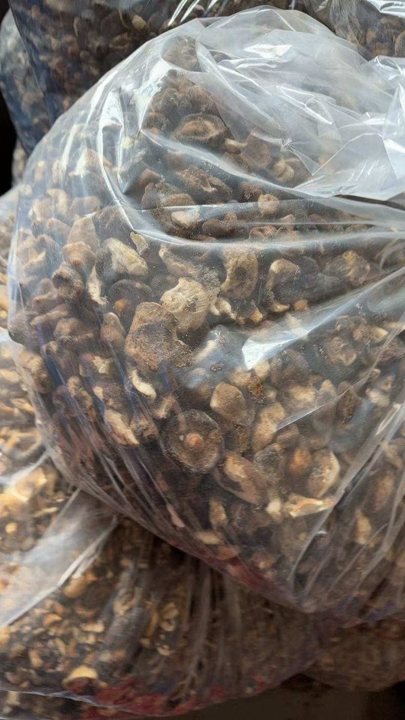 香菇脆碎，香菇干碎，电商专用香菇碎，干香菇