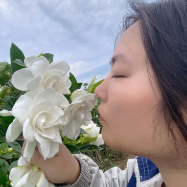 栀子花开了，有需要直接联系我
