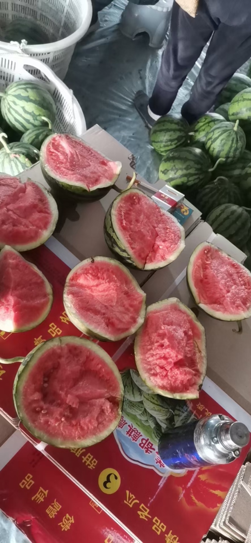 美都有籽麒麟瓜
