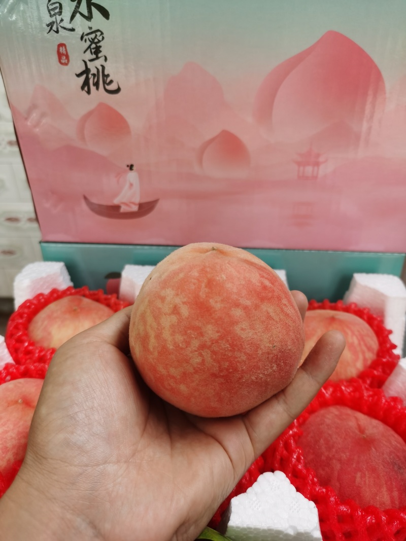 现摘现发龙泉水蜜桃撕皮软桃应季水果顺丰包邮