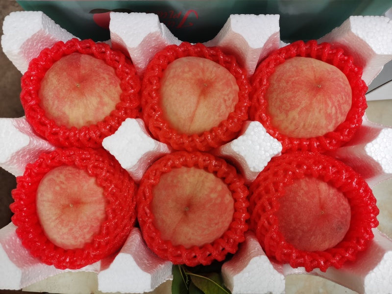 现摘现发龙泉水蜜桃撕皮软桃应季水果顺丰包邮
