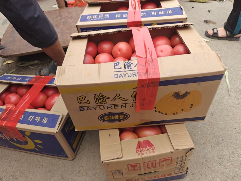 西红柿