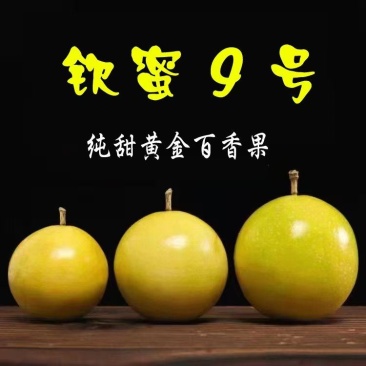 黄金百香果纯甜无酸