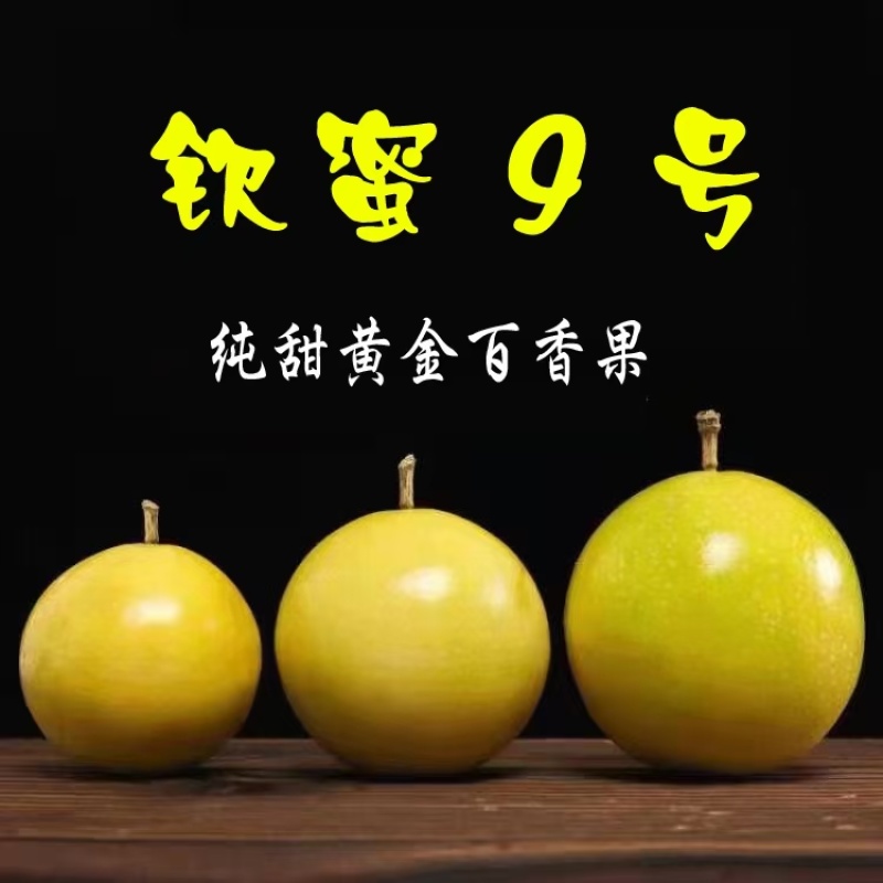 黄金百香果纯甜无酸