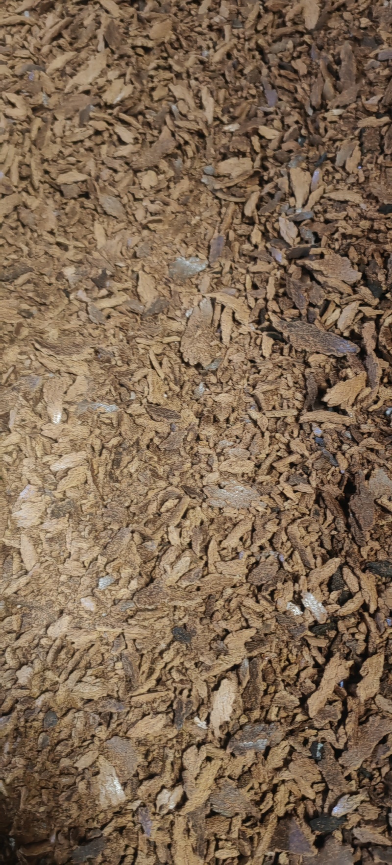 油菜籽饼油枯做鱼饲料肥料一手货源大量供应整车走货