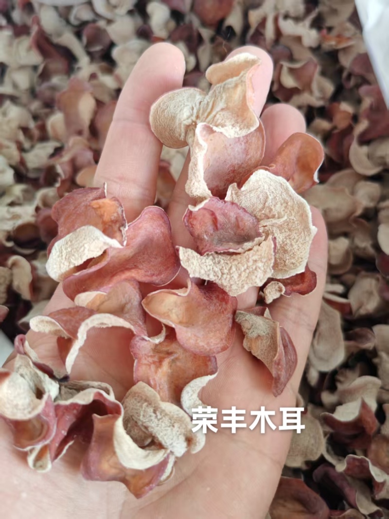 粉木耳，粉耳，贵妃木耳，产地工厂直发一手货源专注批发