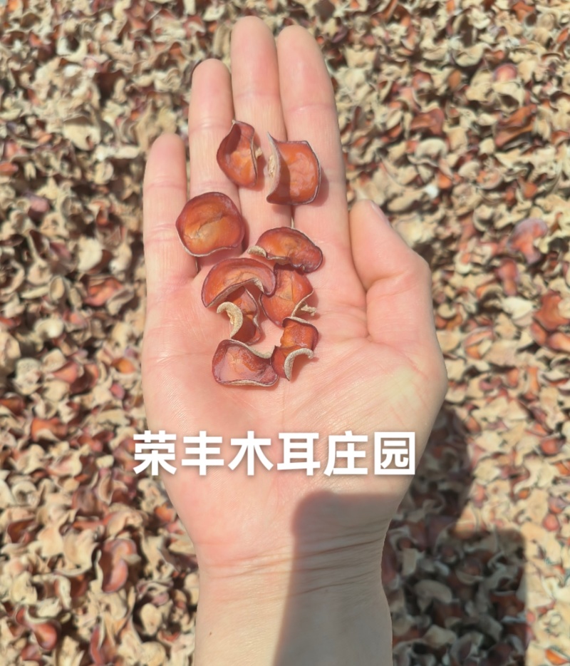 粉木耳，粉耳，贵妃木耳，产地工厂直发一手货源专注批发