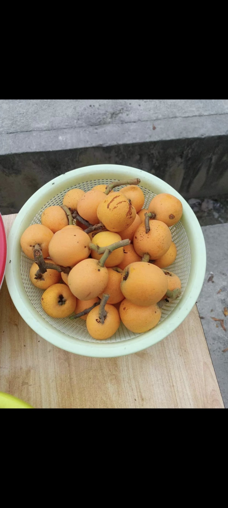 五**大枇杷