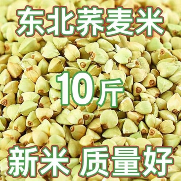东北荞麦米仁新米10斤绿荞麦米粒三角麦五谷杂粮煮粥