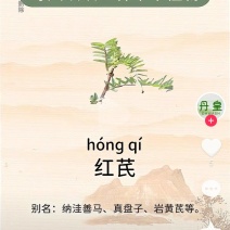 纯野生红芪，10到50年，都有