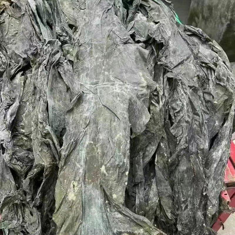 福建海带皮，山东海带皮，一件20斤，仓库海量现货，批发