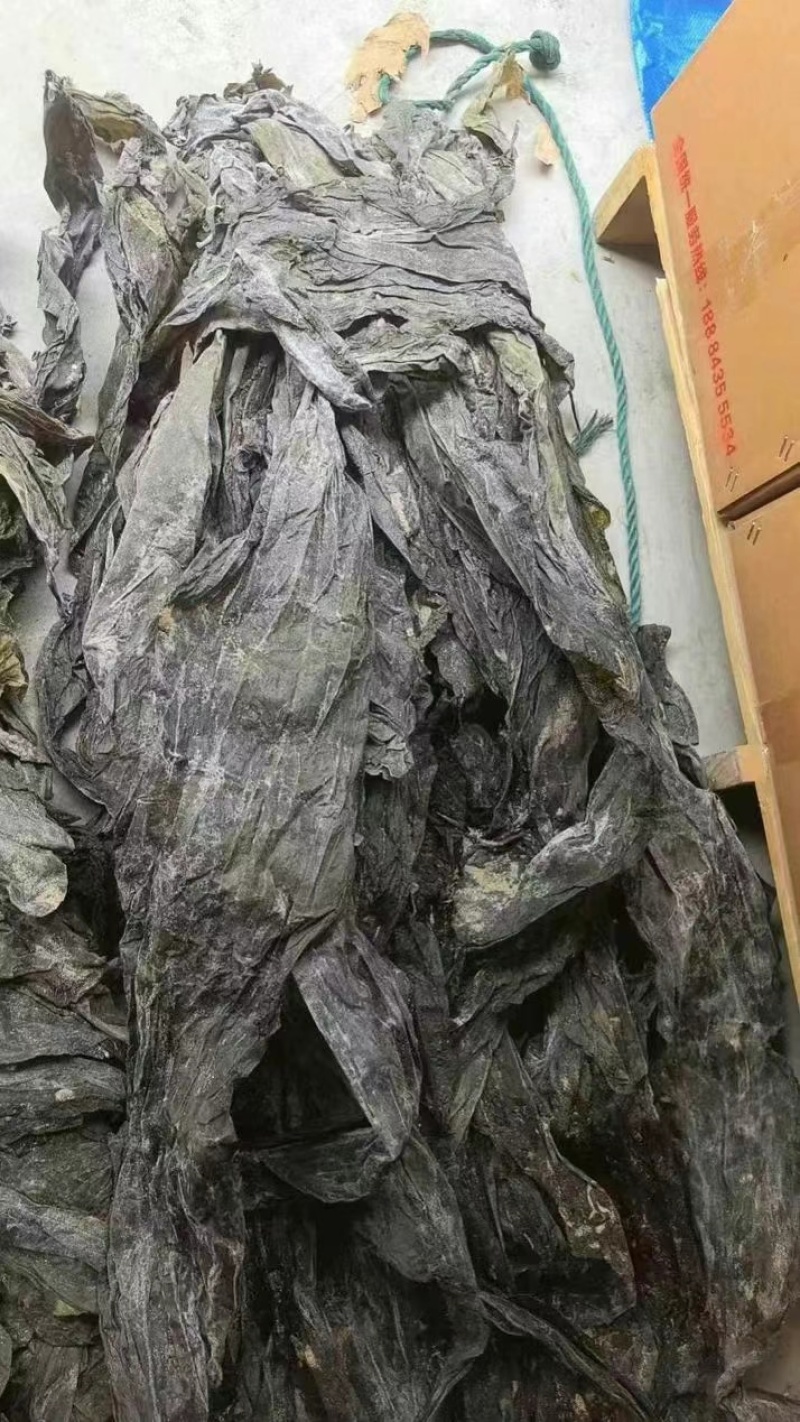 福建海带皮，山东海带皮，一件20斤，仓库海量现货，批发