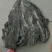 福建海带皮，山东海带皮，一件20斤，仓库海量现货，批发